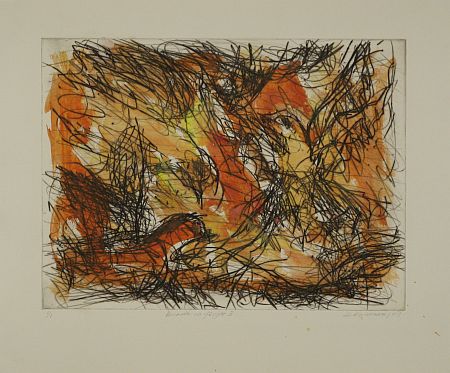 Click the image for a view of: David Koloane. Birds in Flight II. 2009. Hand coloured drypoint. 432X517mm